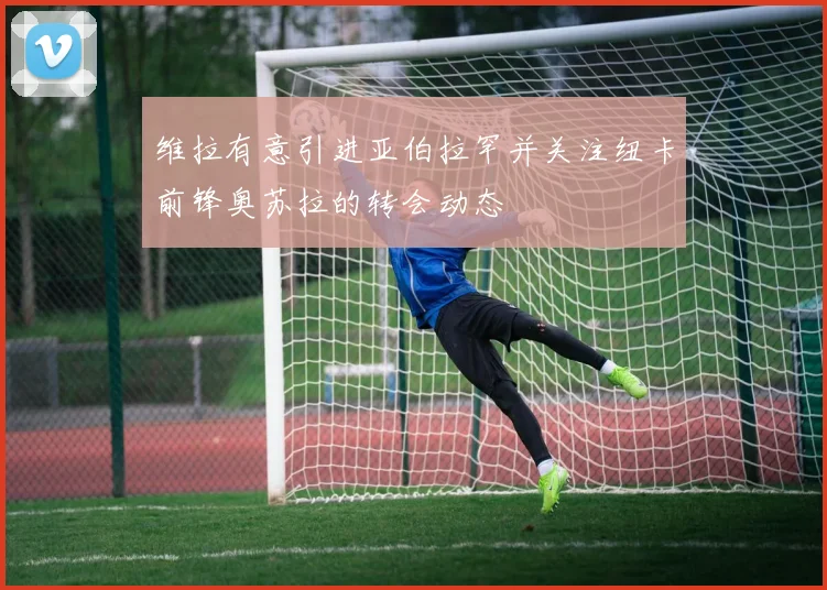 维拉有意引进亚伯拉罕并关注纽卡前锋奥苏拉的转会动态